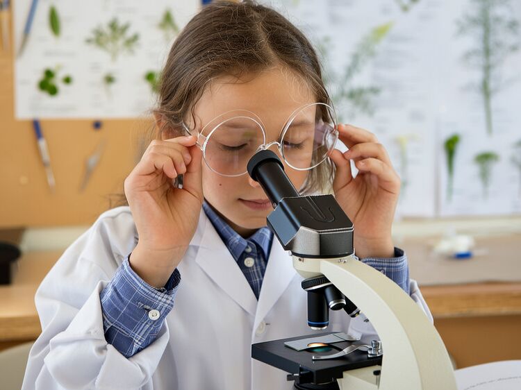 天津西青区国际学校入学要求及学费详解