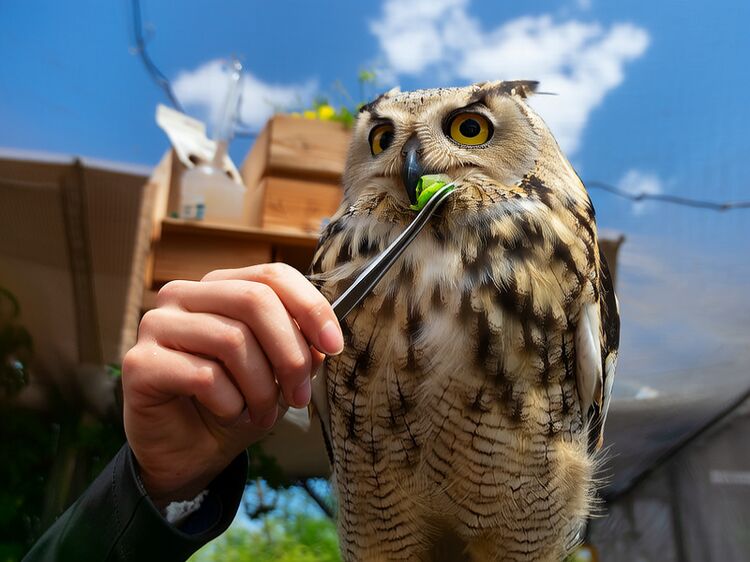 北京爱迪国际高中入学考试难吗？通过率高不高？