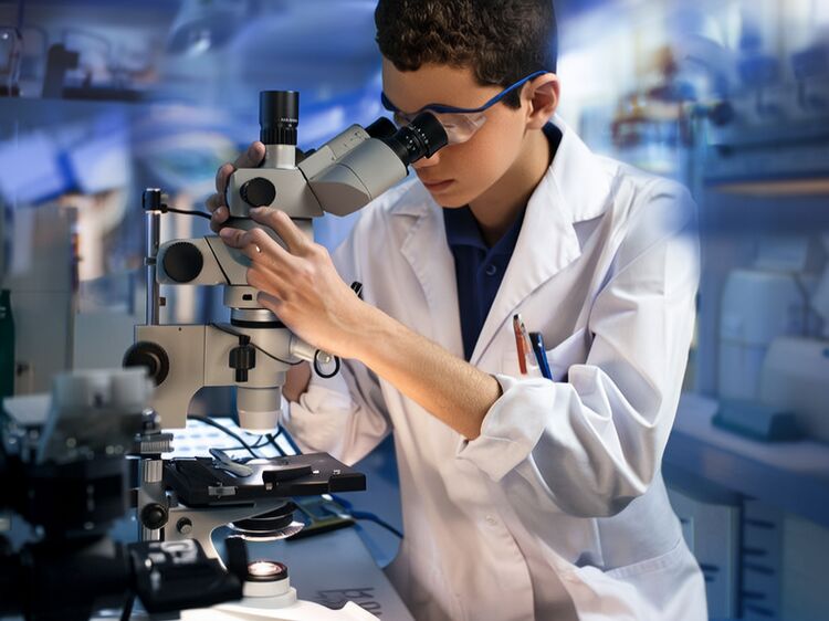 2025届BIC OSSD毕业生全球录取亮点解析