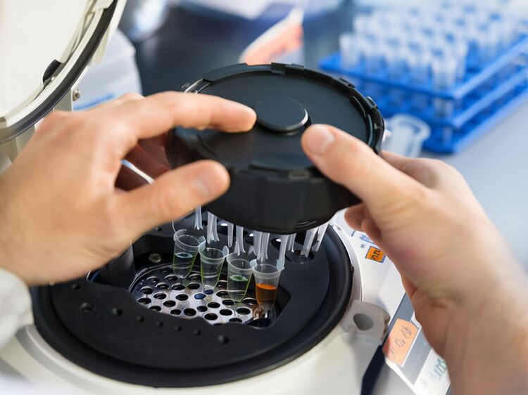 北京国际学校红黑榜大数据解析：家长如何避坑选好校