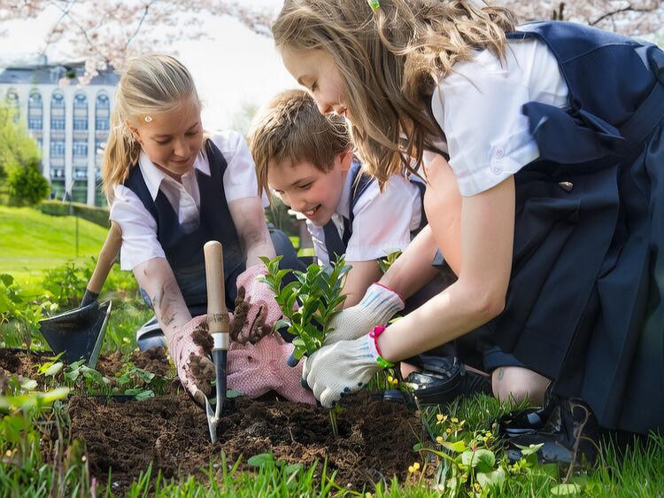 isb顺义国际学校官网