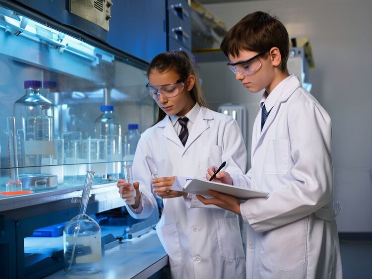 北京国际学校都有什么