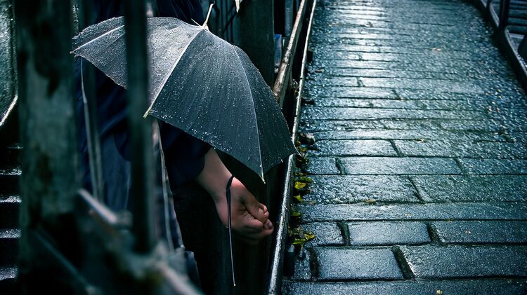 白沙洲贝赛思国际学校学费