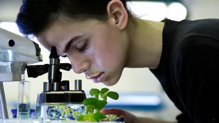 北京正源新亚国际学校