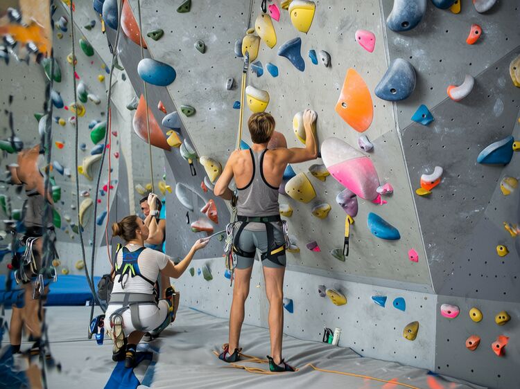 北京市青苗国际学校学费