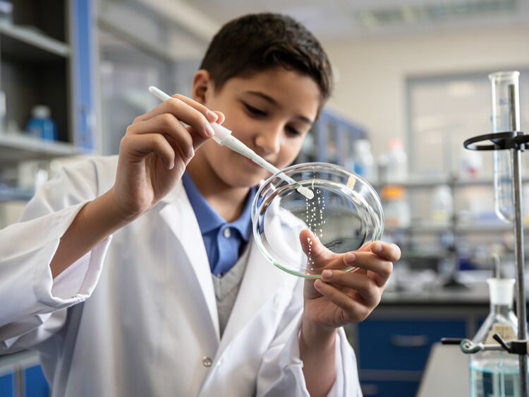 2025天津法耀英华普高班招生计划及学费详解