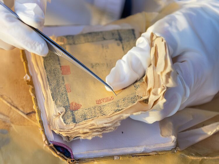 天津黑利伯瑞国际学校价格值不值？家长择校必看分析