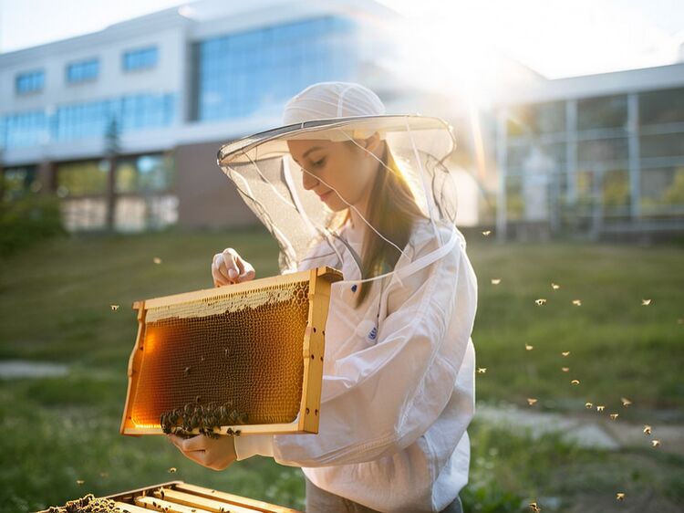 出国留学有公费的吗？2026年真实路径全解析