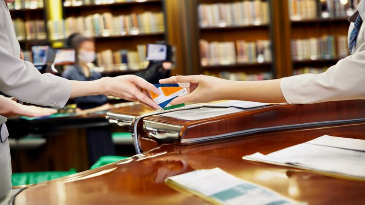 白云区国际学校有哪些