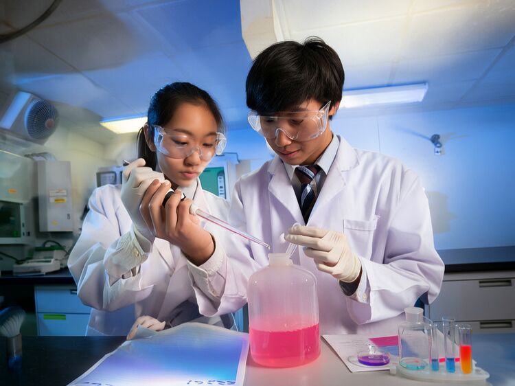 成都新津墨尔文学校2026择校指南：排名、学费与适配性真实分析