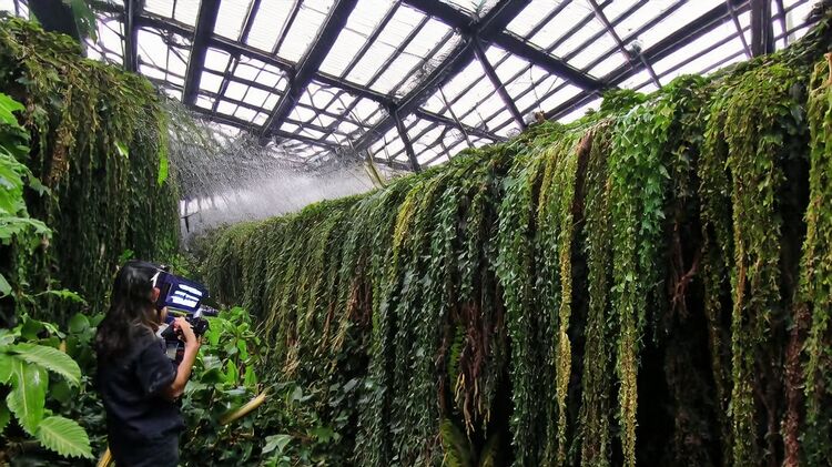 北京国际学校幼儿园学费