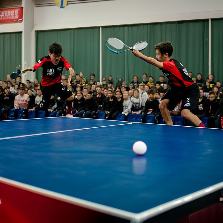 北京朝阳赫德学校2026年学费标准与入学条件全解析