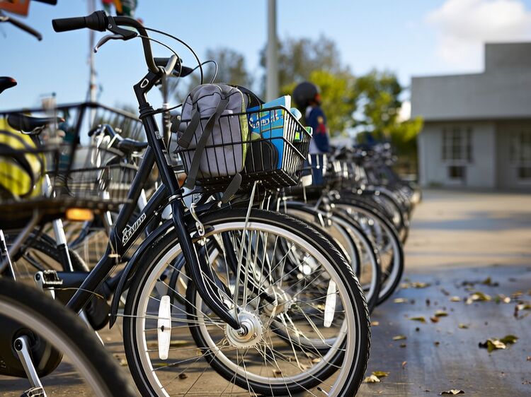 青苗国际幼儿园望京校区环境好吗？2025招生详情