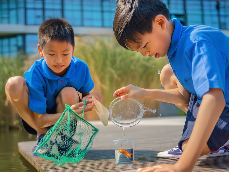 2025年北京大兴区国际高中有哪些学校？学费是多少？