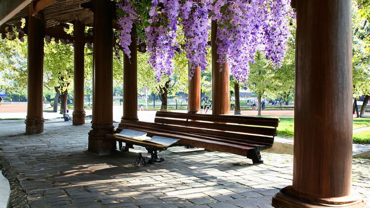 北京国际高中住宿费用标准及择校要求全揭秘