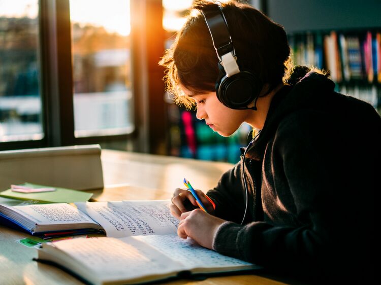 北京德闳学校2025入学政策最新解读