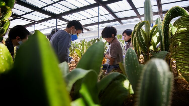 君诚国际双语学校怎么样？北京顺义家长真实反馈汇总