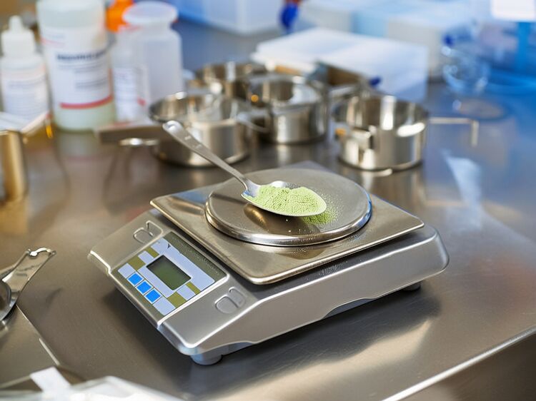 初中国际学校深圳