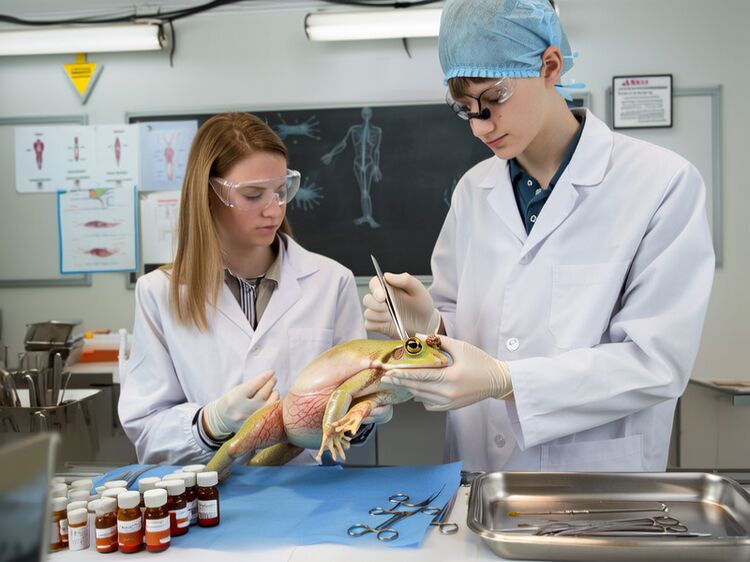 2024年北京十大优质国际学校排名及学费详情汇总