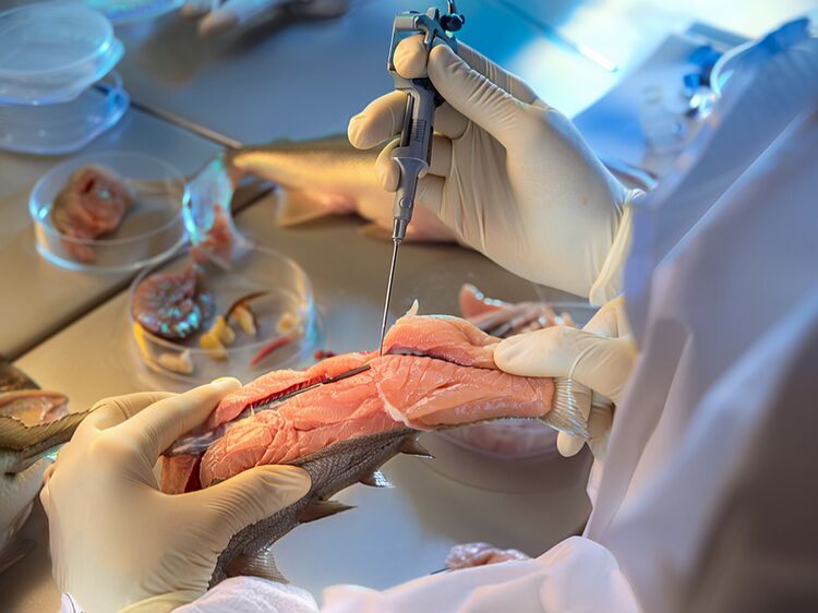 北京青苗国际双语学校常营分校