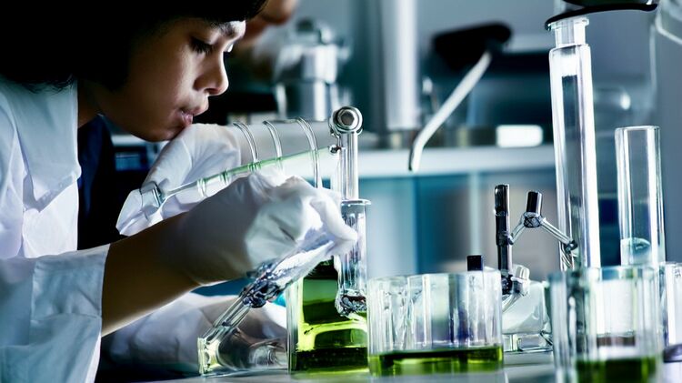 北京市国际学校加拿大