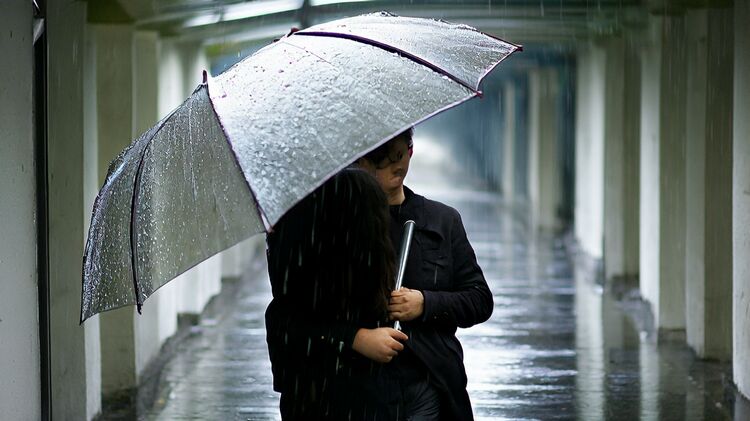 中关村外国语学校真实升学率2024最新数据+学费明细