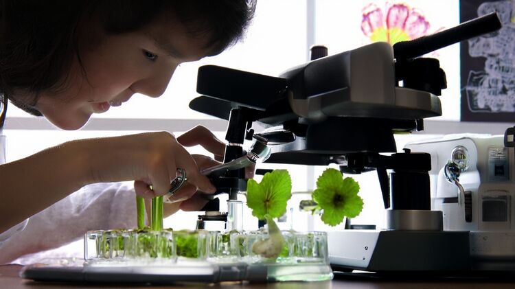 马来西亚留学选校指南：优质国际高中推荐