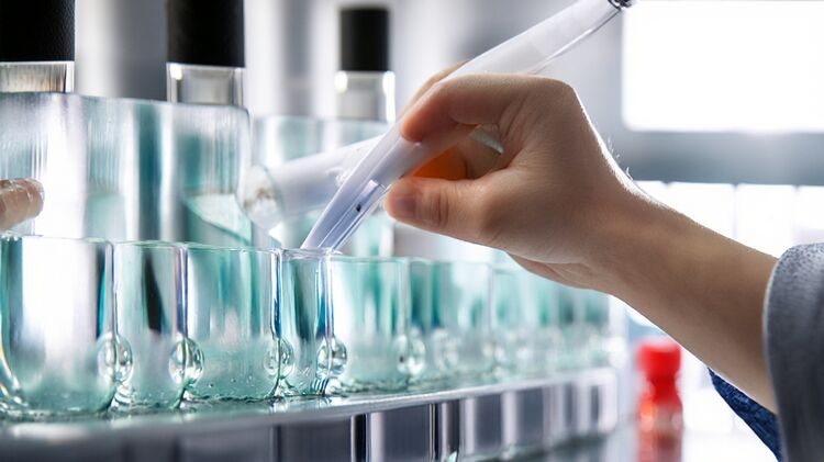 2026朝阳凯文学校春季招生政策解读