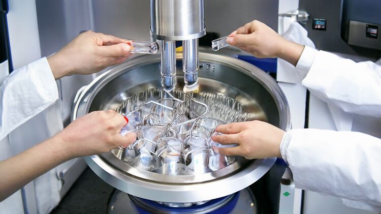 2025秋招：北京师达中学国际部Alevel怎么申请？