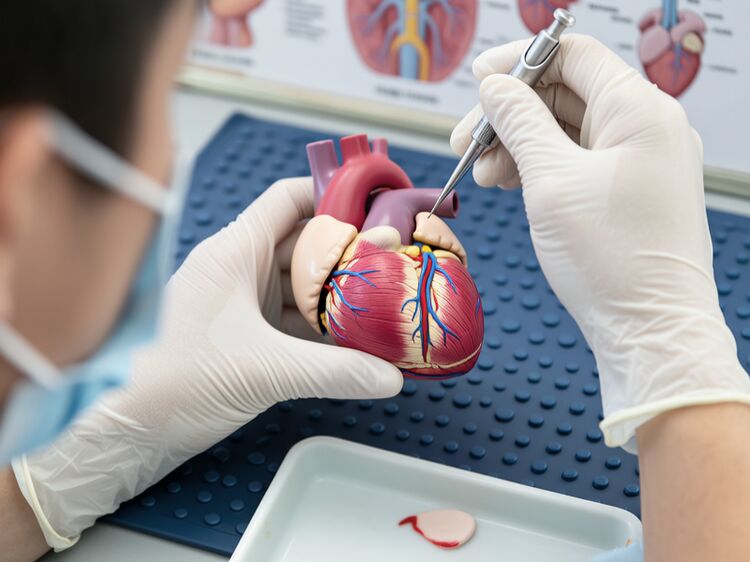 职高生怎么转国贤BIC国际高中？手把手教你搞定