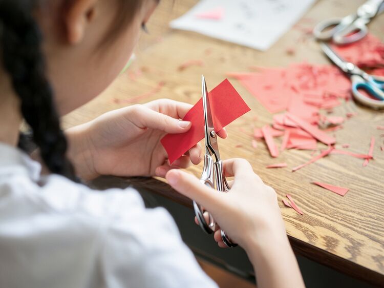 2026年北京开设DSE课程的高中有哪些？港校升学家庭择校参考