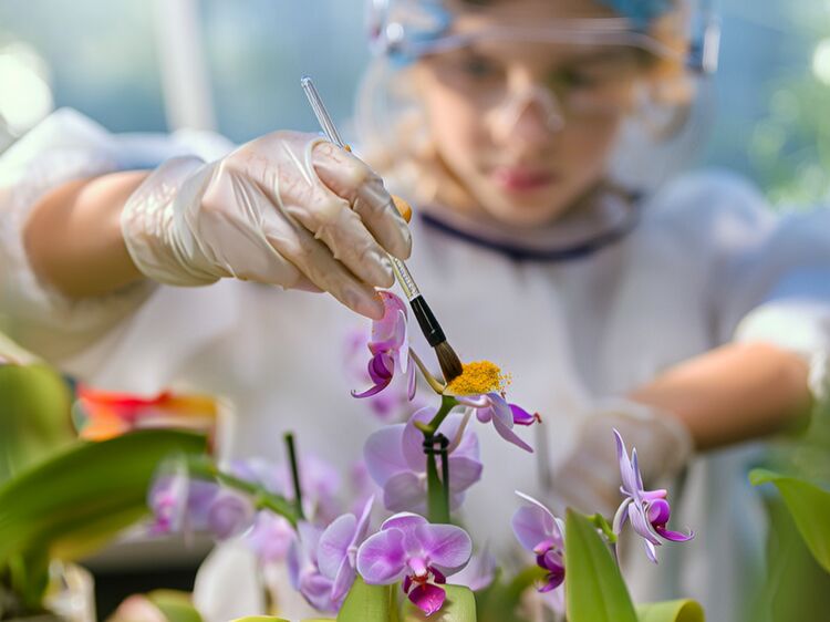 2025年辽宁国际学校春季转学政策解析